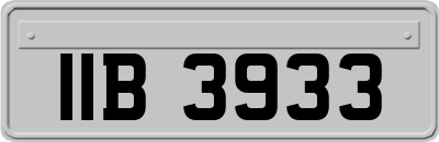 IIB3933