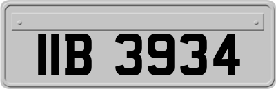 IIB3934