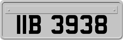 IIB3938