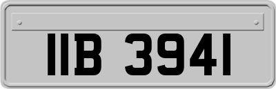 IIB3941
