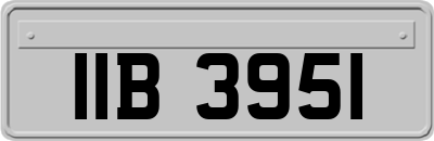 IIB3951