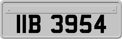 IIB3954