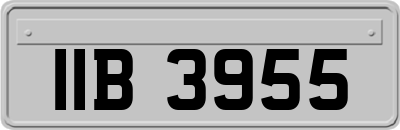 IIB3955