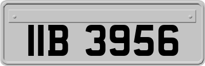 IIB3956
