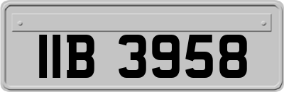 IIB3958