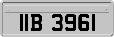 IIB3961