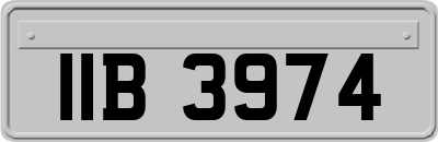 IIB3974