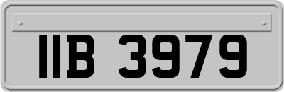 IIB3979