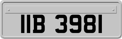 IIB3981