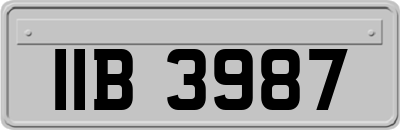 IIB3987