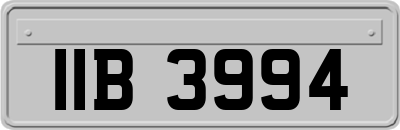IIB3994