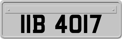 IIB4017