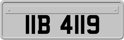 IIB4119
