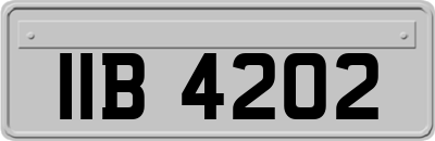 IIB4202
