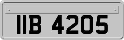 IIB4205