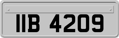 IIB4209