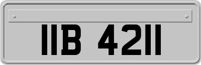 IIB4211