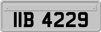 IIB4229