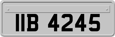 IIB4245