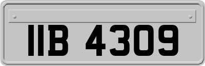 IIB4309