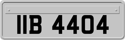 IIB4404