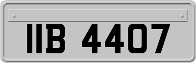 IIB4407