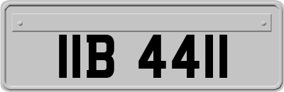 IIB4411