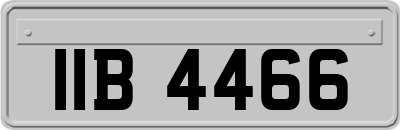 IIB4466
