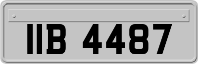 IIB4487