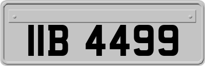 IIB4499