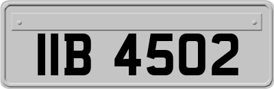 IIB4502