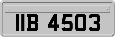 IIB4503