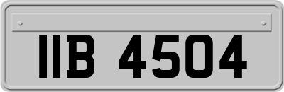 IIB4504