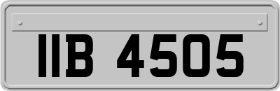 IIB4505