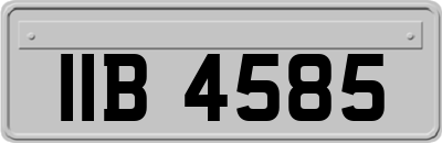 IIB4585