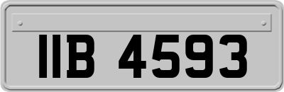 IIB4593