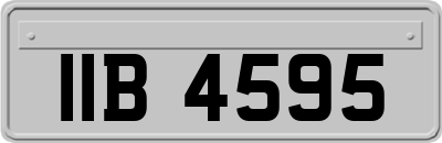 IIB4595