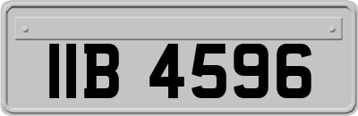 IIB4596