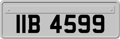 IIB4599