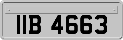 IIB4663