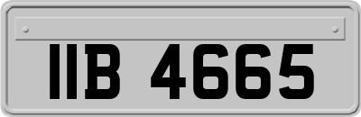 IIB4665