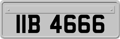 IIB4666