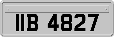 IIB4827