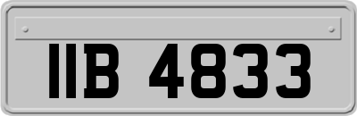 IIB4833