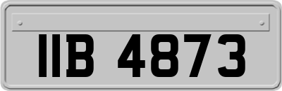 IIB4873