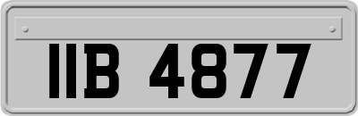 IIB4877