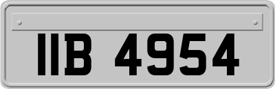 IIB4954