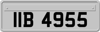 IIB4955