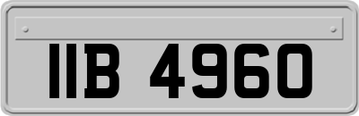 IIB4960