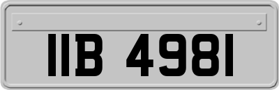 IIB4981